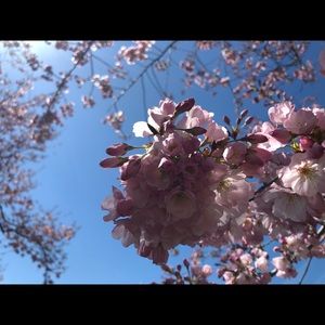 Meet your Posher, Weiyi